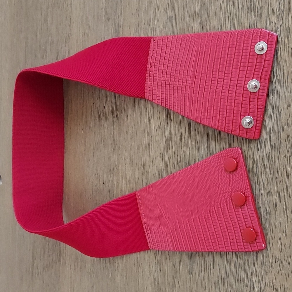 Vintage Elastic Belt.